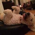 Gus Evans - @evans.gus - Instagram