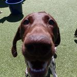 Gus - @gus_evans_gsp - Instagram