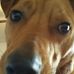 Gus Griffith - Facebook