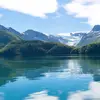 Black_mamba - @gus_hansen - TikTok