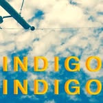 Gus Hansen And Jeffrey Demoe - @indigo_gus_indigo_jeff - Instagram