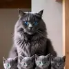 Hansen Gus - @hansen.gus - TikTok