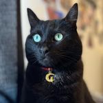 Gus - @gus.james - Instagram