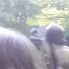 Jojo Gus Jenkins - @jojo.gus.jenkins - TikTok