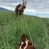 guskay86 - @gus.kay - TikTok
