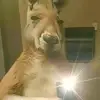 Gus Macias - @gus.macias7 - TikTok
