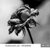 Just me Martin - @martin.guss - TikTok