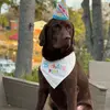 Gus Morris - @gus.morris26 - TikTok
