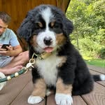 Gus “the Bus” Morris - @mr.gus.the.bus - Instagram