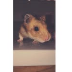 Gus Nathaniel Kupiec - @gus.nathaniel.kupiec - Instagram