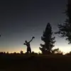 Gus the Bus - @nathan.gus - TikTok