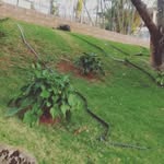 @gusnathanalvadie - Instagram