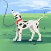 Nathangus - @nathangus3 - TikTok