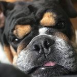 Gus Parker - @gus.bus.parker - Instagram