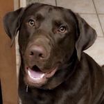 Gus Parker - @augustus_del_sol - Instagram