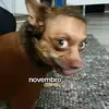 Gus Parker - @gusparker - TikTok