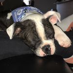 Gustavo Parker - @gusparker_ - Instagram