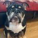 Gus Perry - Facebook