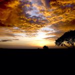 Gus Perry - @bombalula - Instagram