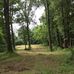 Gus Perry Land Management Services - Facebook