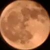 gusreyes - @gusreye05 - TikTok