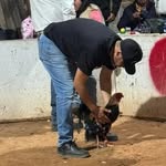 Gus Rios - @gus.rios.9279 - Instagram