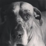 Gus Shaw - @the_gus_shaw - Instagram