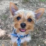 Gus Shaw - @_goodboygus__ - Instagram