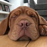Gus shaw - @gus_shaw - Instagram