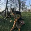 Argus_Theodore_Dante - @_minibro3_ - TikTok