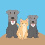 Fred, Gus & Theodore - @fred_gus_theo - Instagram