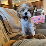 Gus - @augustus.theodore913 - Instagram
