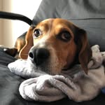 Gus Theodore - @gusterbusterburz - Instagram