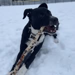 Gus Theodore Beckton - @guster.t.beckton - Instagram