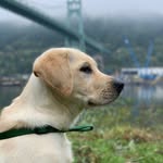 Gus Theodore Phillips - @the.gus.gram - Instagram