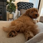 @gus_theodore_r - Instagram