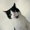 Gussy - @augustustheodore11 - TikTok