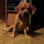 Theodore Augustus - @theodore_gus - Instagram