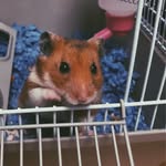 Theodore Gus Gus - @theodoregusgus - Instagram