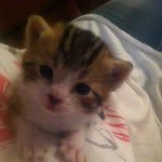 Gus Waters - @little_gus_ - Instagram
