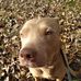 Gus Gus West - Facebook