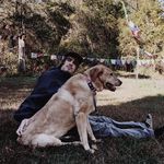 Gus Williams - @augustuswilliams_ - Instagram