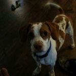 August Wright   "Gus" - @august_wright_gus - Instagram