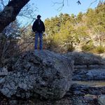 Gus Young - @gus70young - Instagram