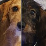 Otto&Gustav+Jürgen - @otto_and_gustav - Instagram