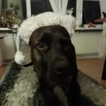 Gustav Stormly - @gustavstormly - Instagram