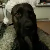 Gustavstormly - @gustavstormly - TikTok