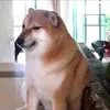 Gustavo Conde - @gustavo.conde43 - TikTok