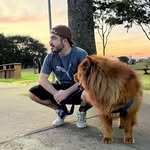 Gustavo Gil - @ogustavogil - Instagram