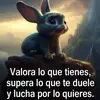 🐶Gustavo 🐶🙊Mora🦋🦋 - @gustavomora220 - TikTok